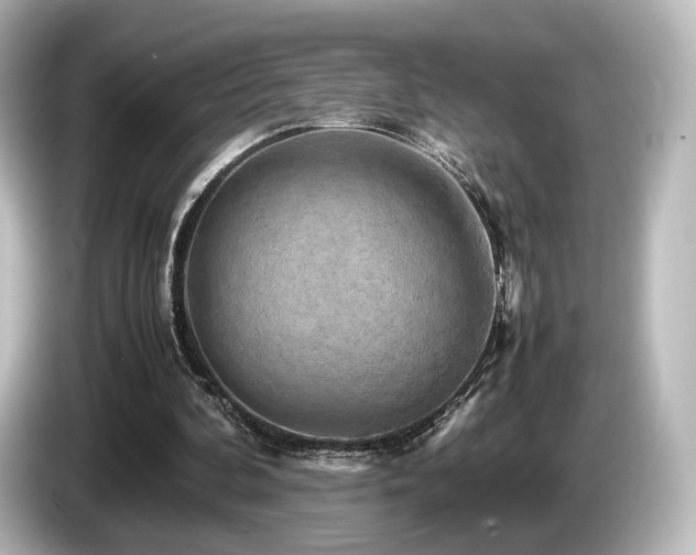 X0000085740292200703161034