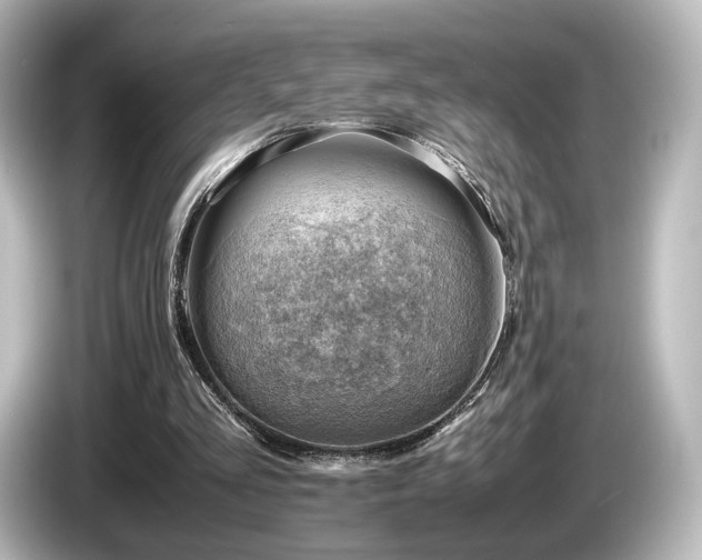 X0000085740293200703161034