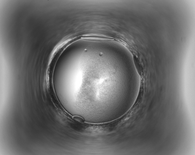 X0000085740294200703161034