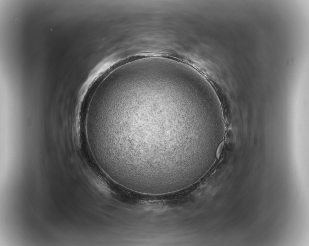 X0000085740296200703161034