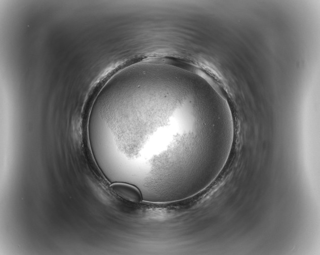 X0000085740298200703161034