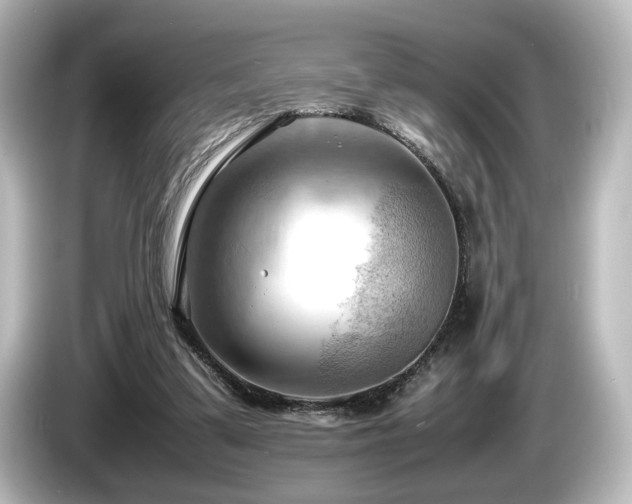 X0000085740299200703161034