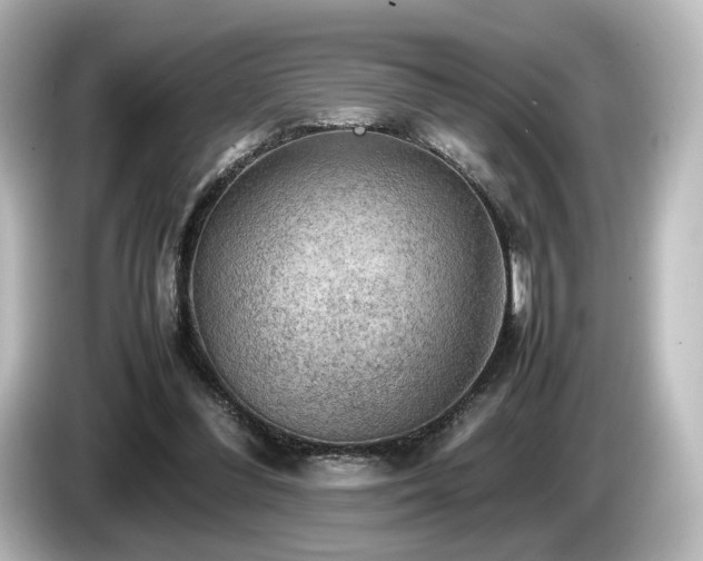 X0000085740300200703161034