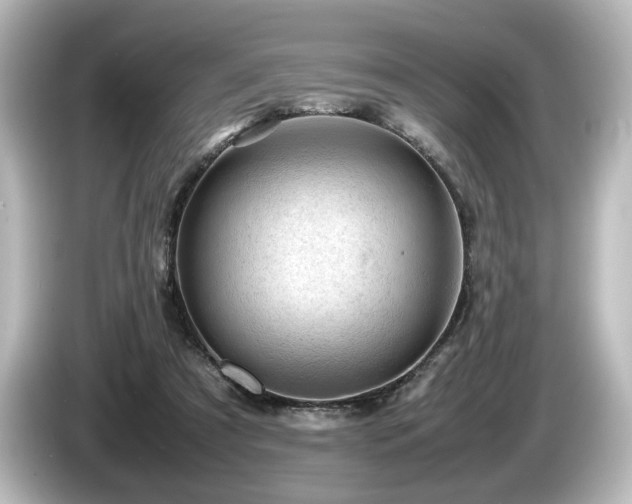 X0000085740305200703161034