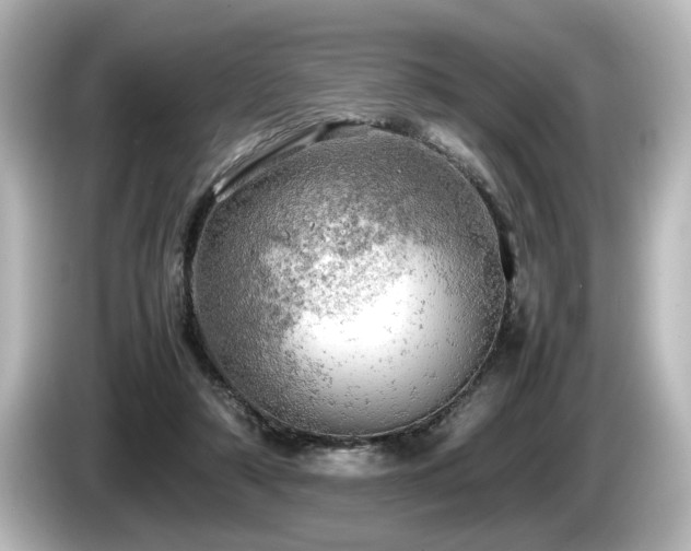 X0000085740306200703161034