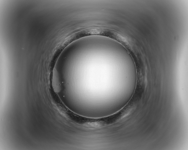 X0000085740307200703161034