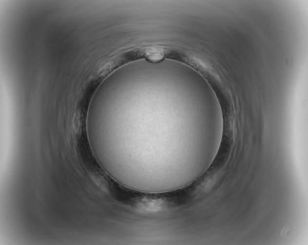 X0000085740311200703161034