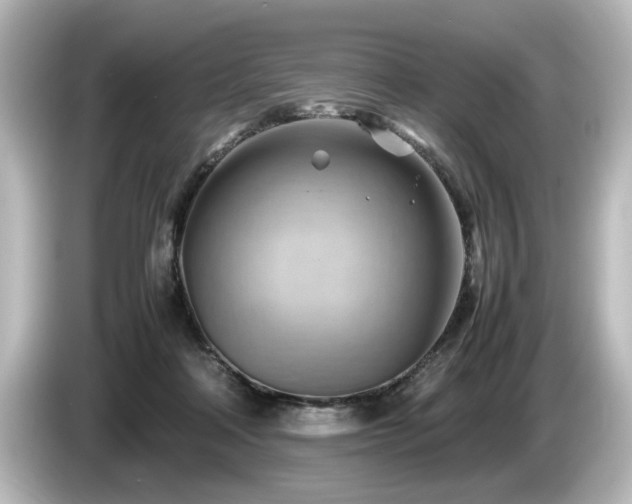 X0000085740314200703161034