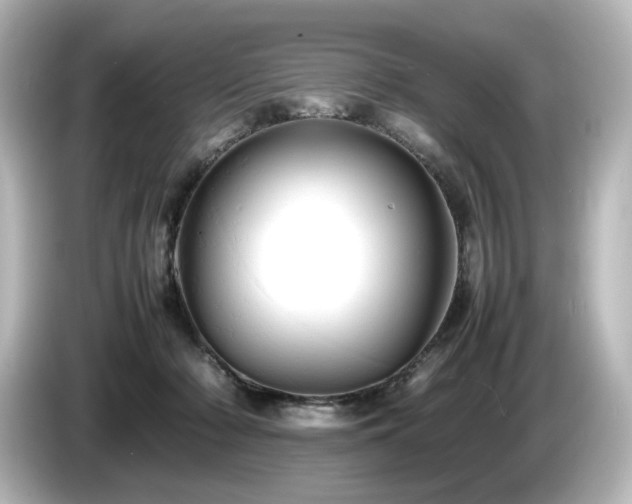 X0000085740318200703161034