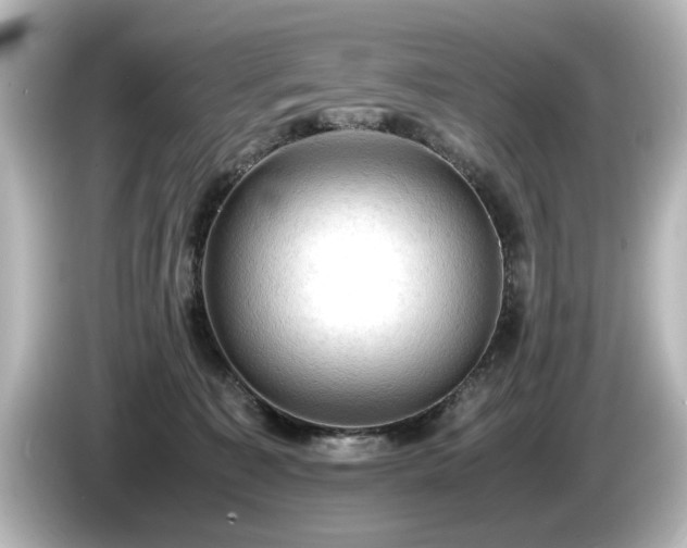 X0000085740323200703161034