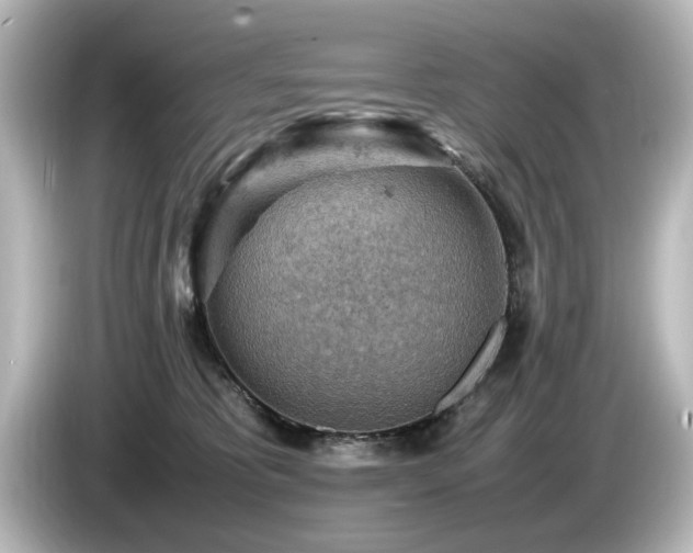 X0000085740325200703161034