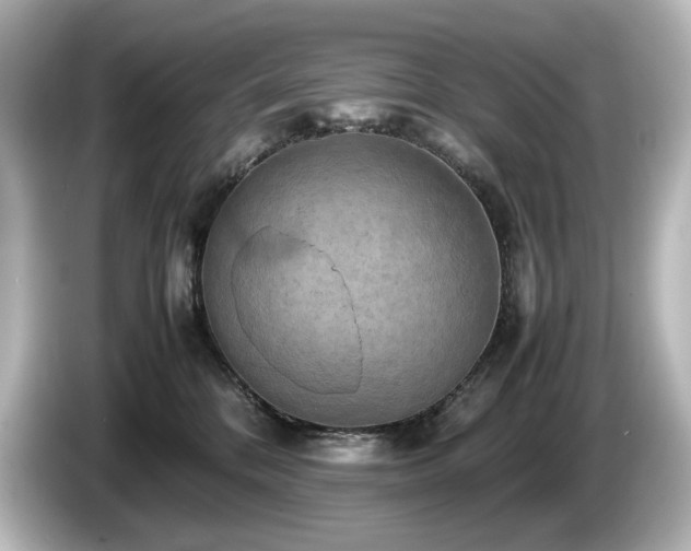 X0000085740328200703161033