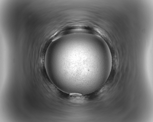 X0000085740329200703161033
