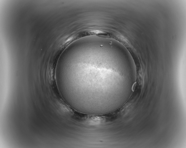 X0000085740330200703161033
