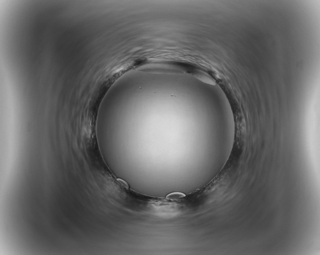 X0000085740331200703161033