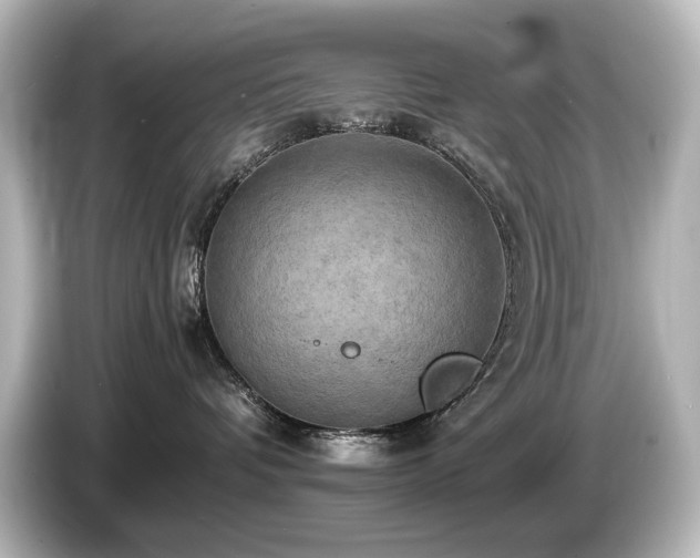 X0000085740336200703161033