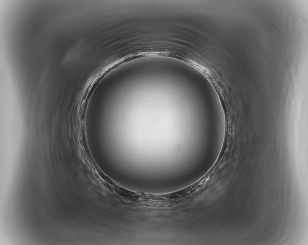 X0000085740337200703161033