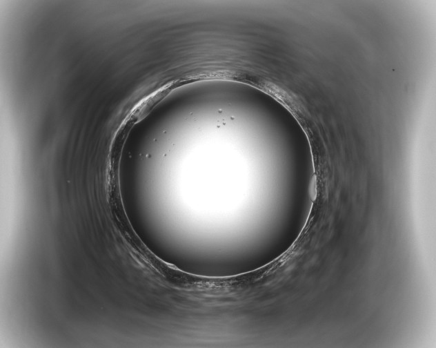 X0000085740338200703161033