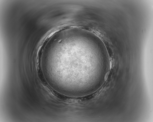 X0000085740339200703161033