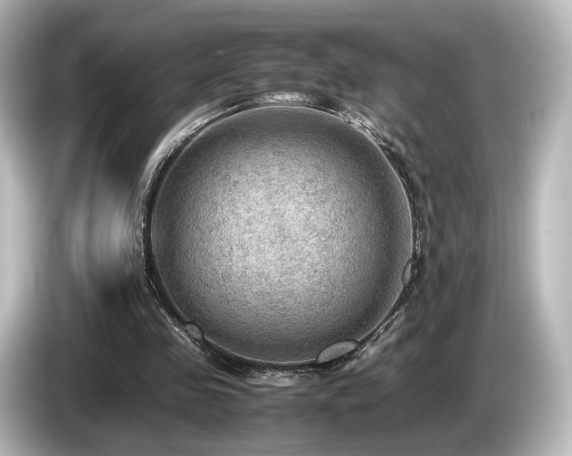 X0000085740341200703161033