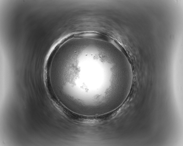 X0000085740342200703161033