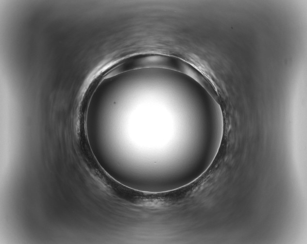 X0000085740344200703161033
