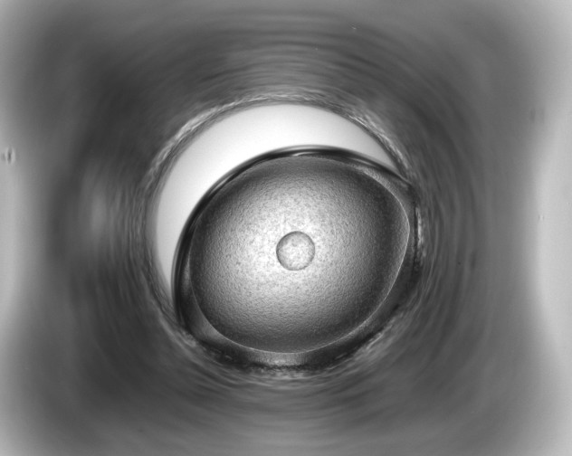 X0000085740348200703161033