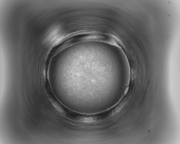 X0000085740349200703161033