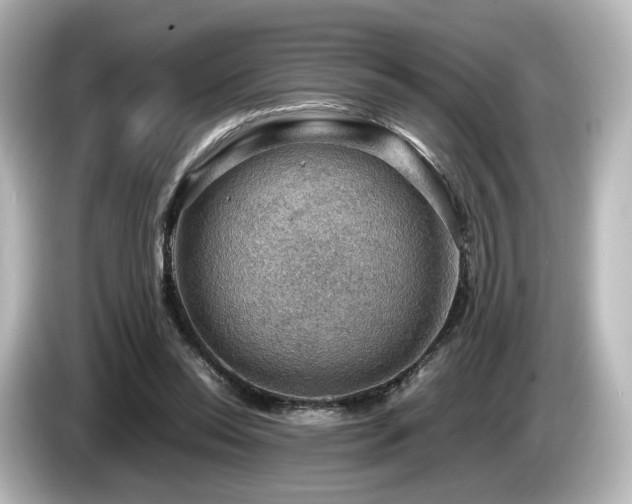 X0000085740350200703161033