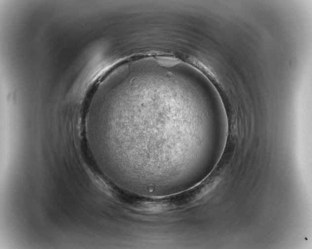 X0000085740351200703161033