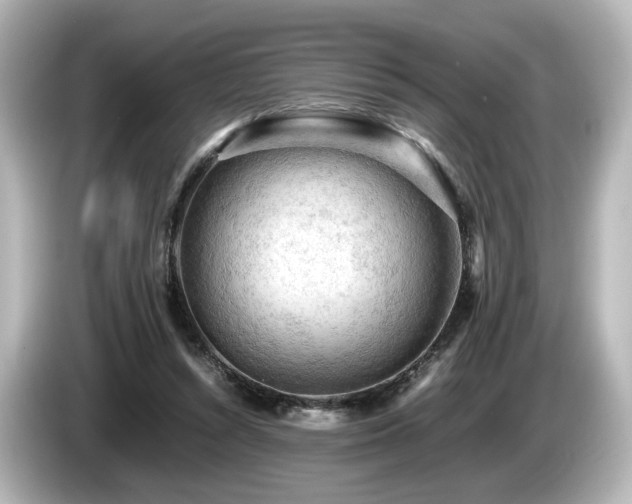 X0000085740352200703161033