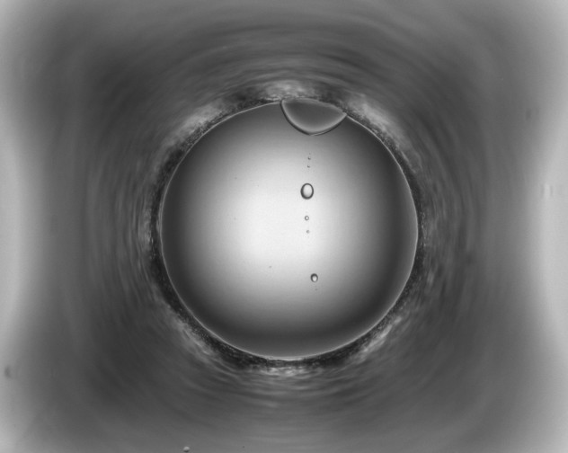 X0000085740353200703161033