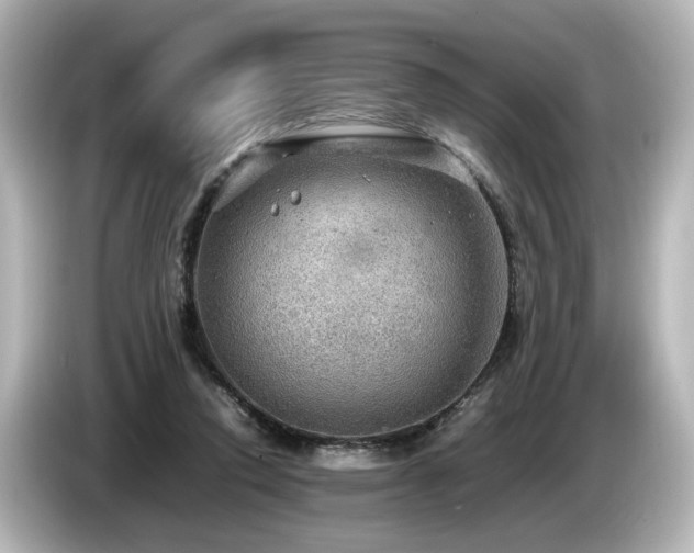 X0000085740354200703161033