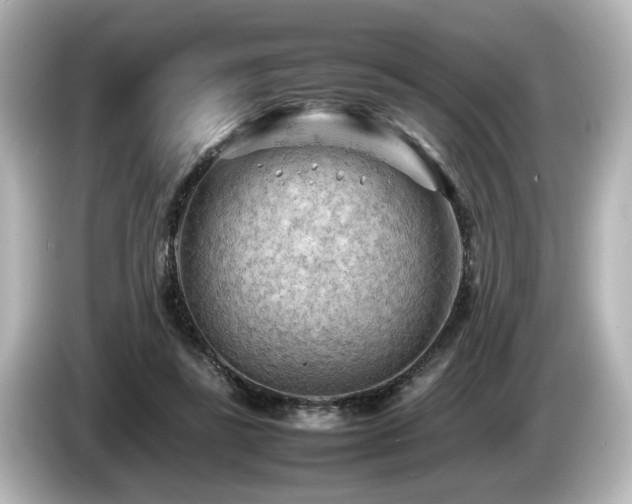 X0000085740355200703161033