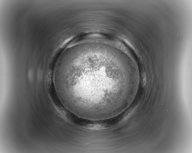 X0000085740356200703161033