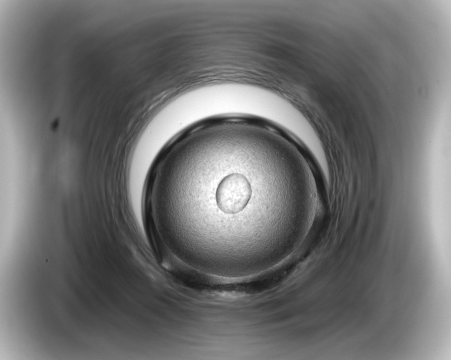 X0000085740360200703161033