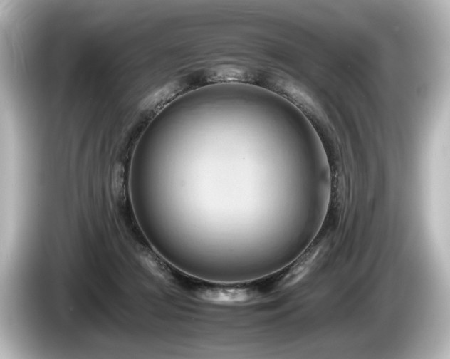 X0000085740361200703161033