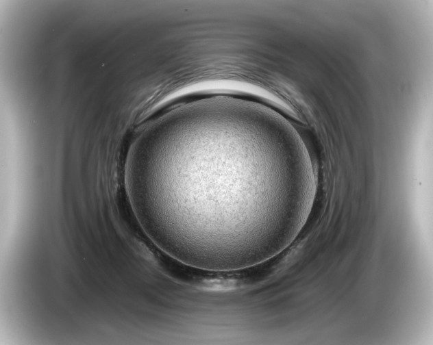 X0000085740362200703161033