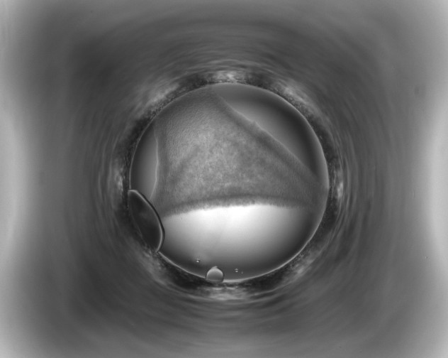 X0000085740363200703161033