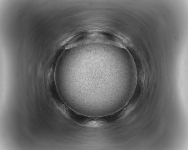 X0000085740364200703161033