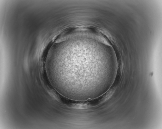 X0000085740366200703161033