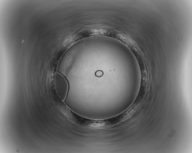 X0000085740369200703161033