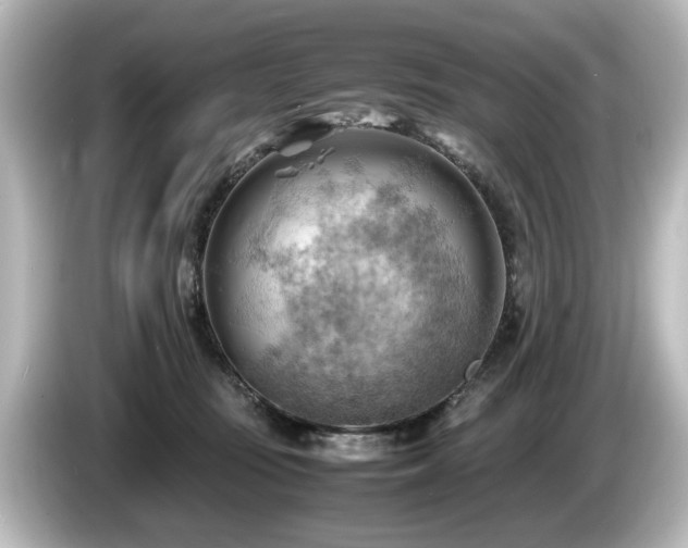 X0000085740371200703161033