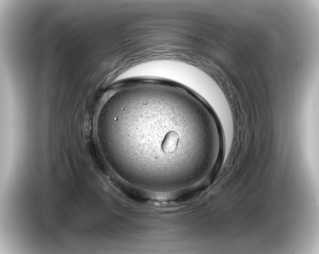 X0000085740372200703161033