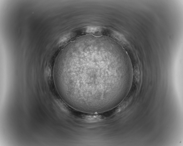 X0000085740375200703161033