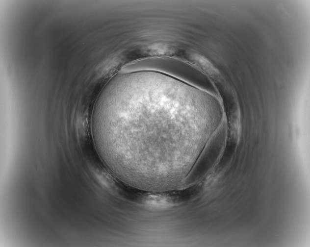 X0000085740376200703161033