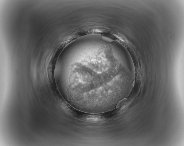 X0000085740377200703161033