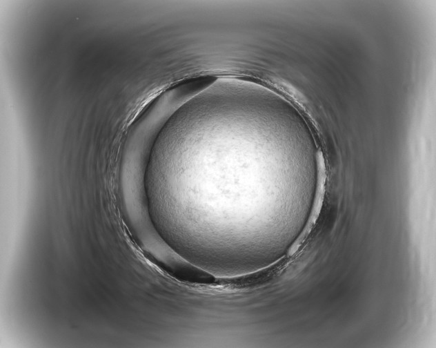 X0000085740385200703161033