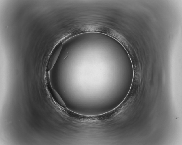 X0000085740386200703161033