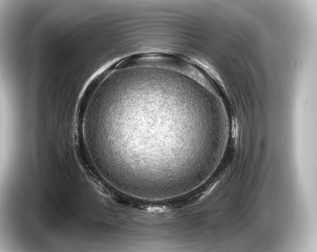 X0000085740388200703161033